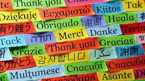 4 MUST-HAVES for Foreign Language Success