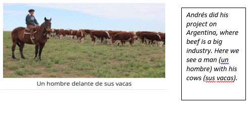 Spanish-Speaking Countries Project