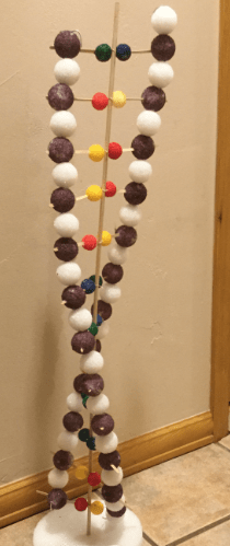 DNA