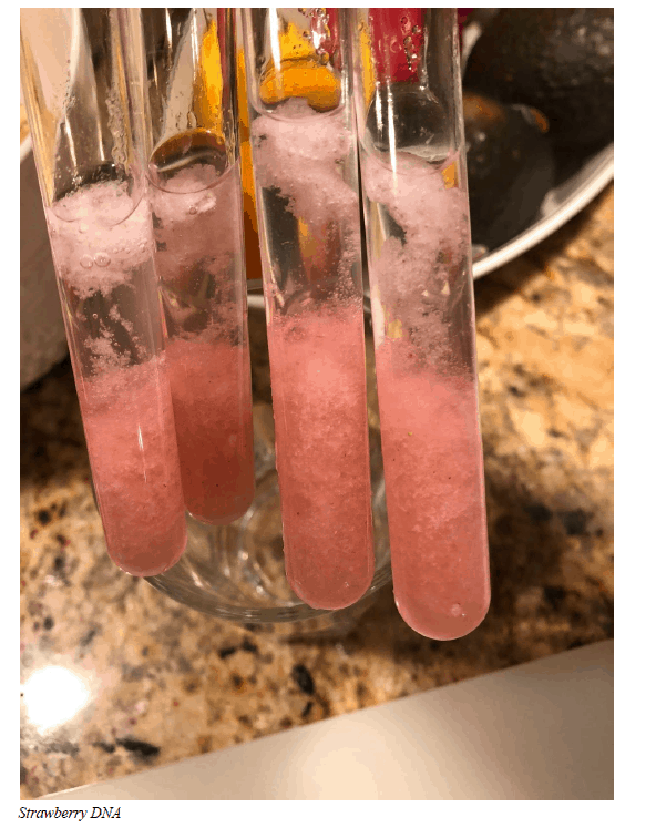 DNA