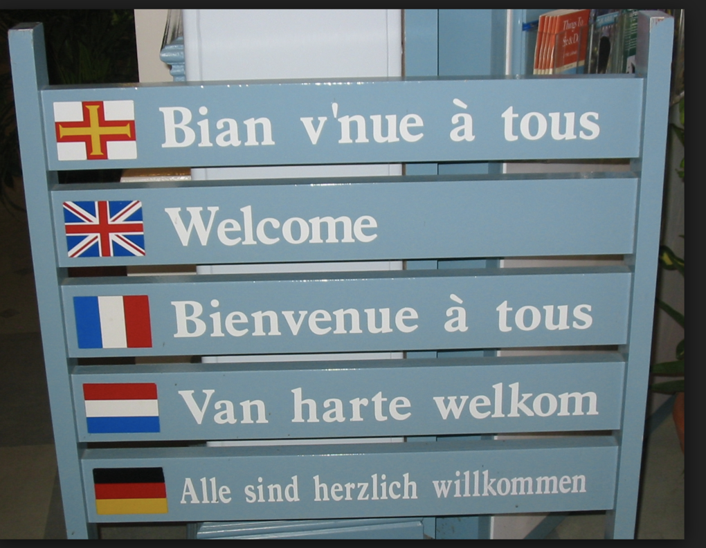 Language Immersion