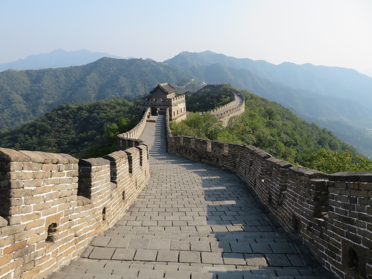 world history - is it worth studying