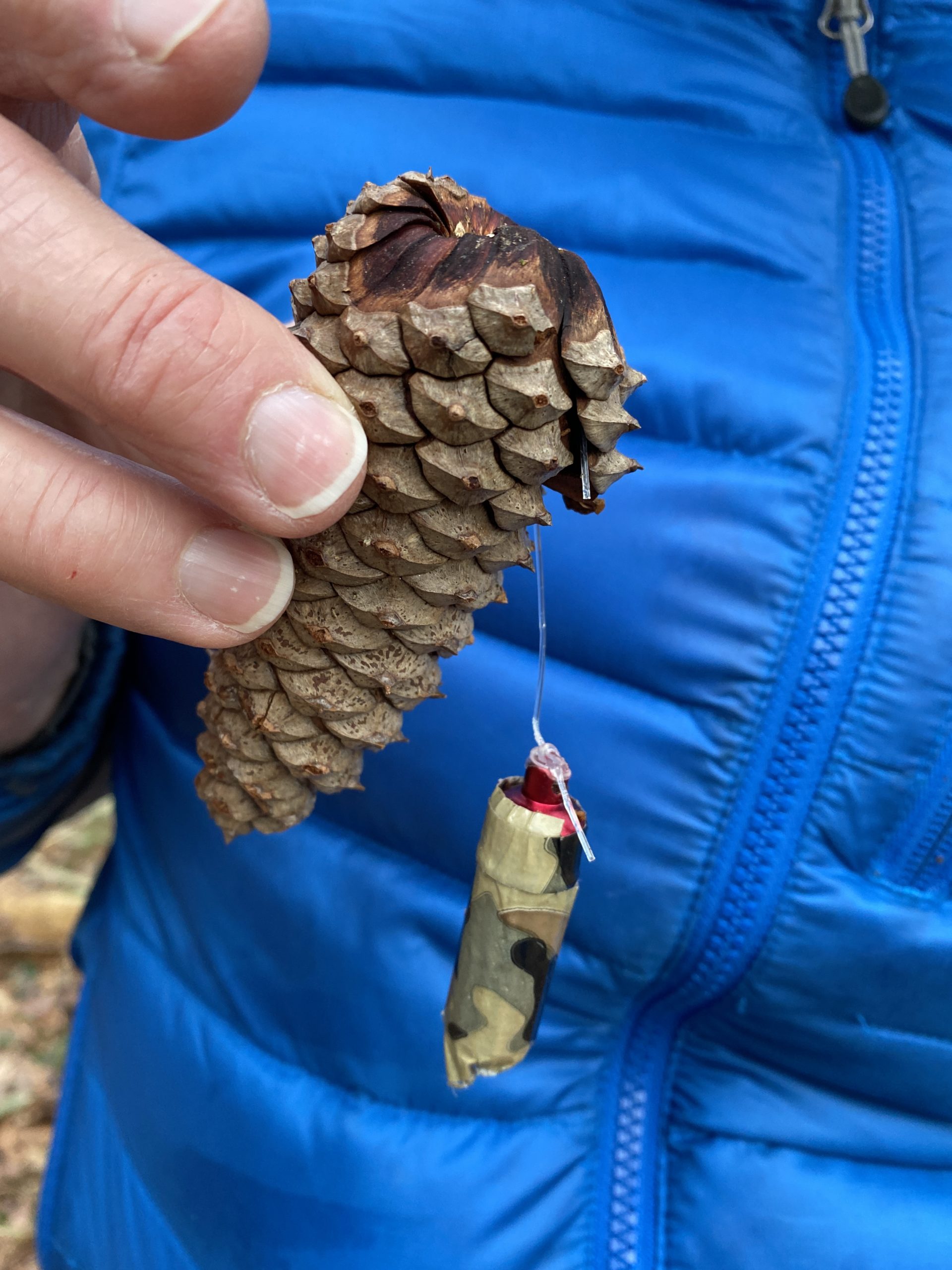 creative geocache