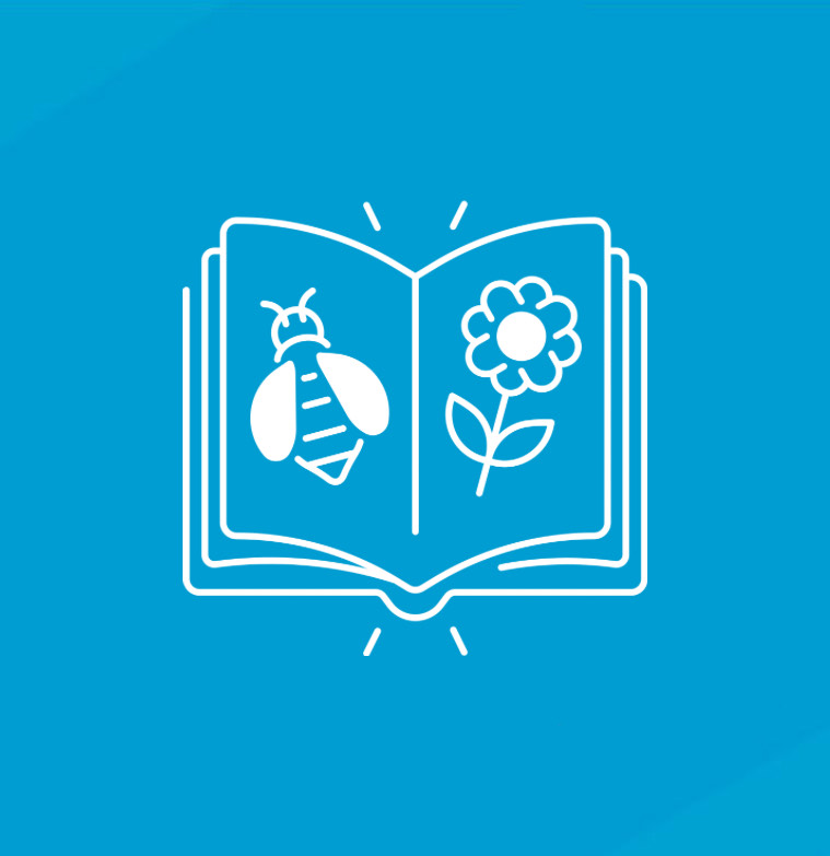 Illustrate a Children’s Book