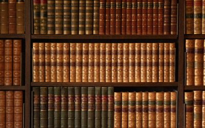 Continuing… Excelsior’s Bookshelf!